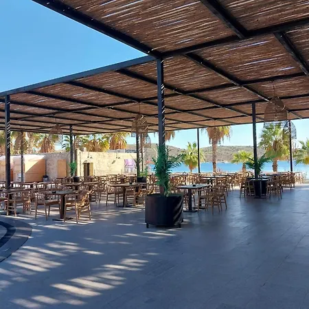 酒店 Very Chic Bodrum Adult Only 5*