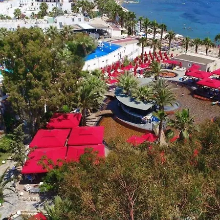 Very Chic Bodrum Adult Only Hotel Gumbet