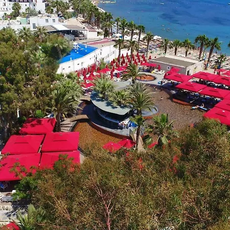 Very Chic Bodrum Adult Only Hotell Gümbet